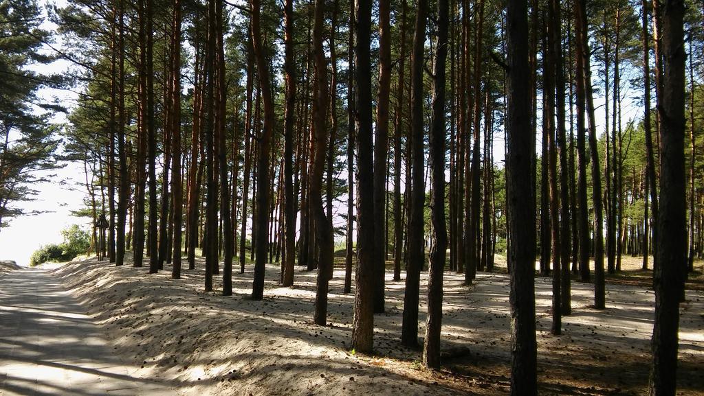 Jauki Vieta Poilsiui Kunigiskese Lejlighed Palanga Eksteriør billede
